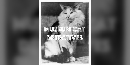 Cover image for Museum Cat Detectives