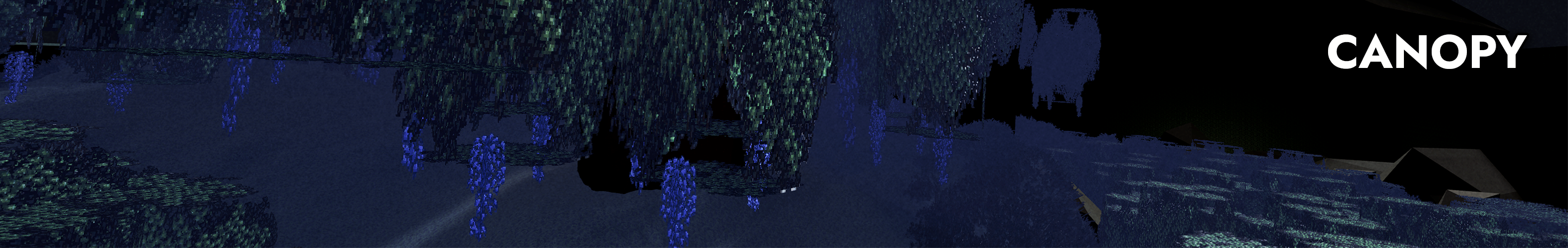 Canopy 2.0