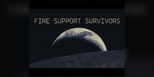 Cover image for Fire Support Survivors
