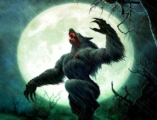 A pervert entered your store and now your going to kill him as a werewolf!