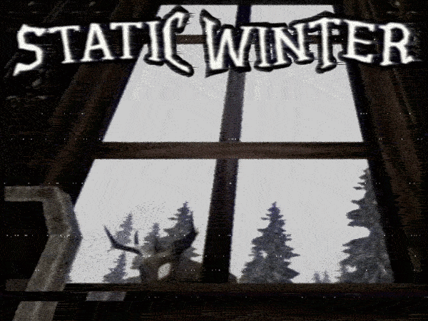 Cover image for STATIC WINTER