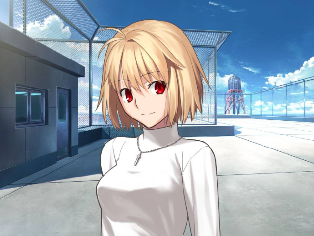Cover image for Tsukihime Fangame