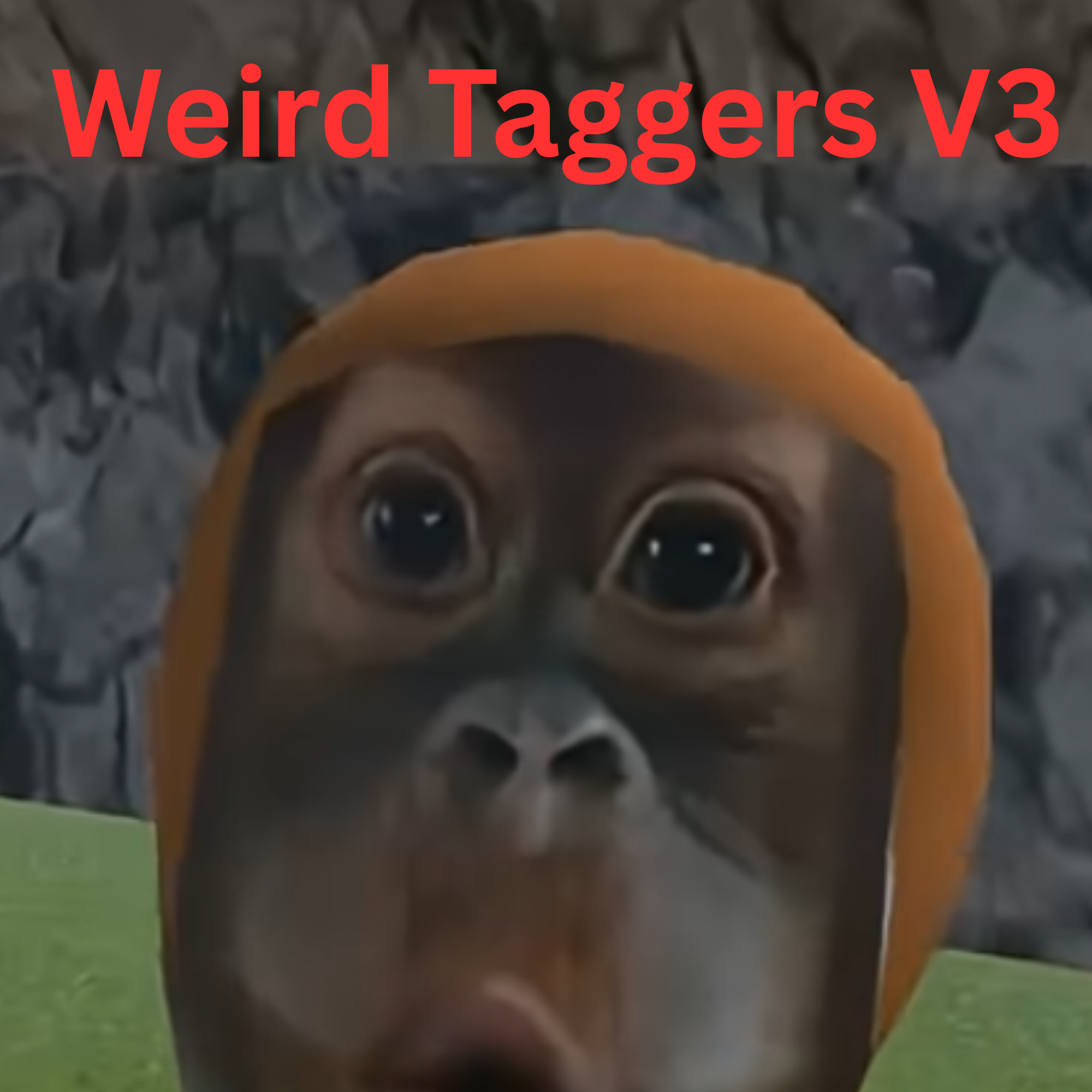 Weird Taggers V3