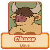 Chase