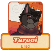 Tarooi