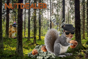 Cover image for Nutdealer Legacy