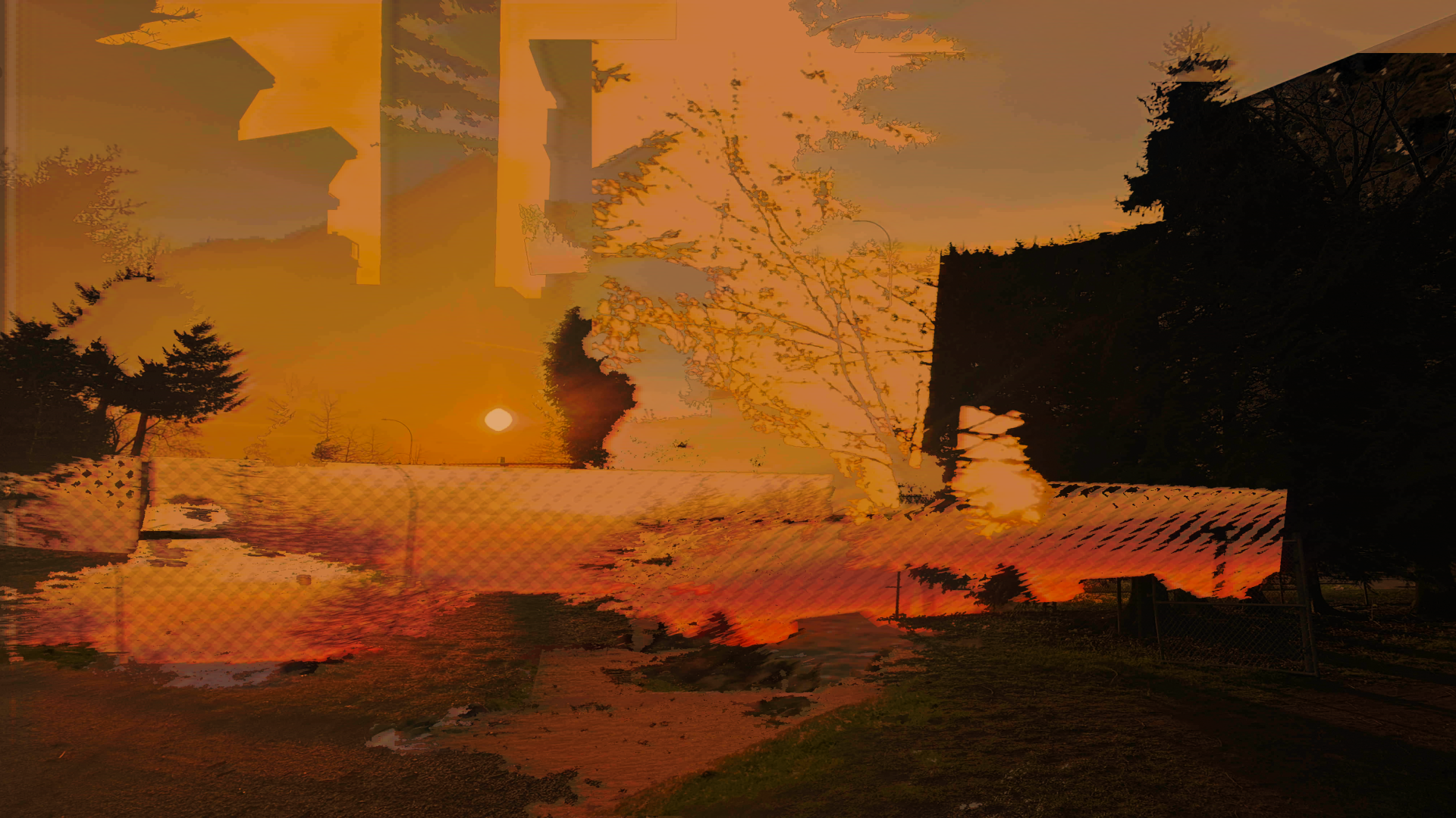 Cover image for drinkcity