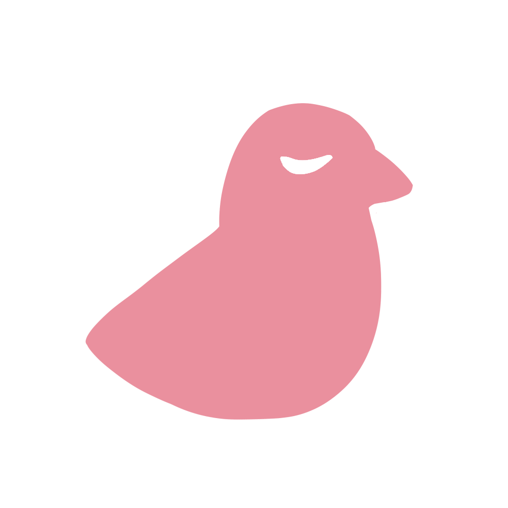 X (Formerly Twitter)