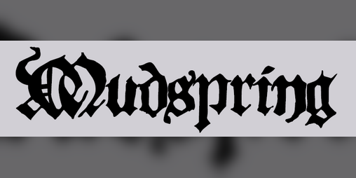 Cover image for Mudspring