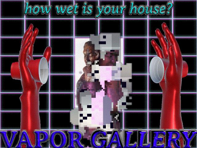 Cover image for VAPOR GALLERY