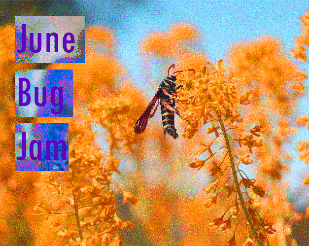 June Bug Jam