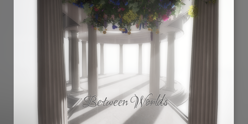Cover image for Between Worlds
