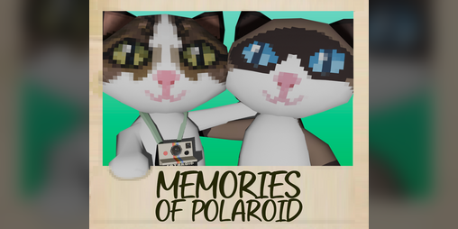 Cover image for MEMORIES OF POLAROID