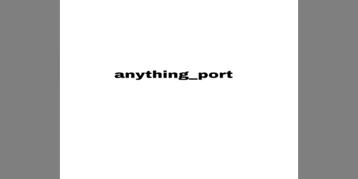 Cover image for anything_port