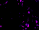 Cover image for Splunko colorful (fixed)