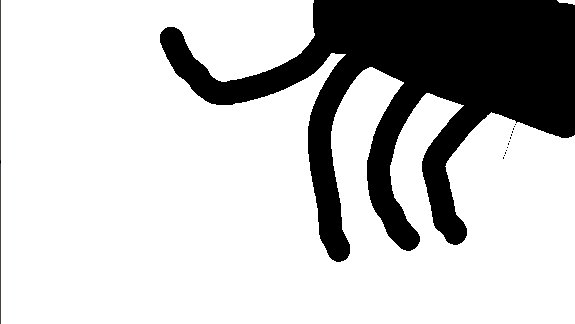 spyderr