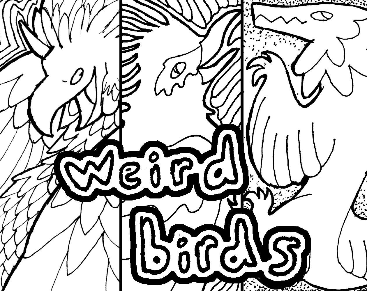 Cover image for WEIRD, WEIRDER, and WEIRDEST BIRDS