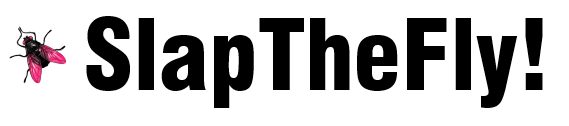 SlapTheFly!