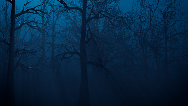 The Blackwood Secret cover
