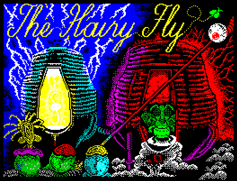 Cover image for THE HAIRY FLY