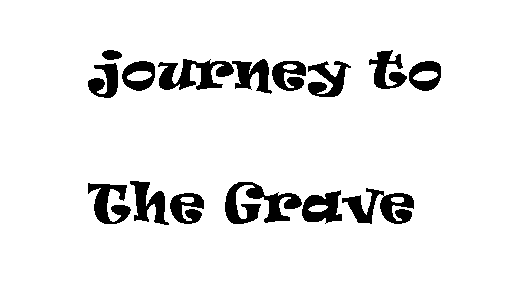 Cover image for Journey To The Grave