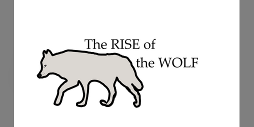 Cover image for Rise of the Wolf