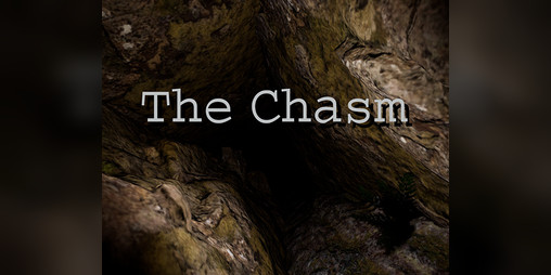 Cover image for The Chasm
