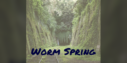 Cover image for Worm Spring