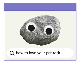 how to love your pet rock