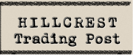 Cover image for Hillcrest Trading Post - Embers of Humanity