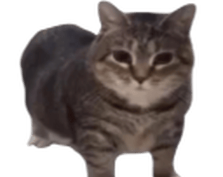 Dodge Walter [Free] [Survival] [Windows]