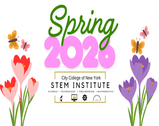 CCNY STEM Institute 2026 Spring Semester