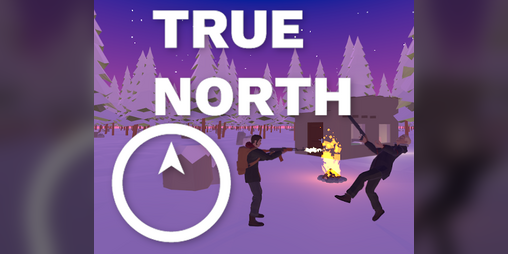 Cover image for True North