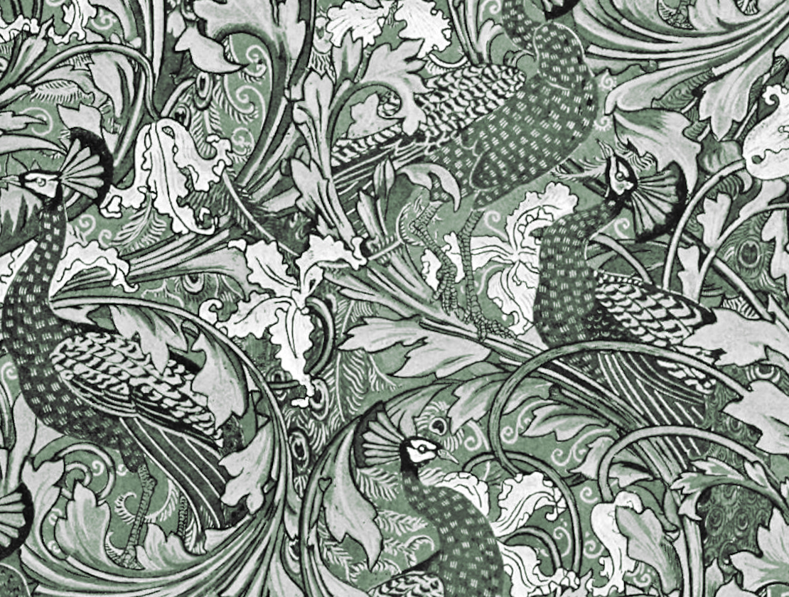 Cover image for Labyrinth of the Gardener