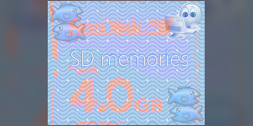 Cover image for SD memories