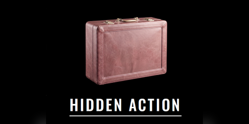 Cover image for Hidden Action - The Red Case