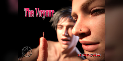 Cover image for The Voyeur