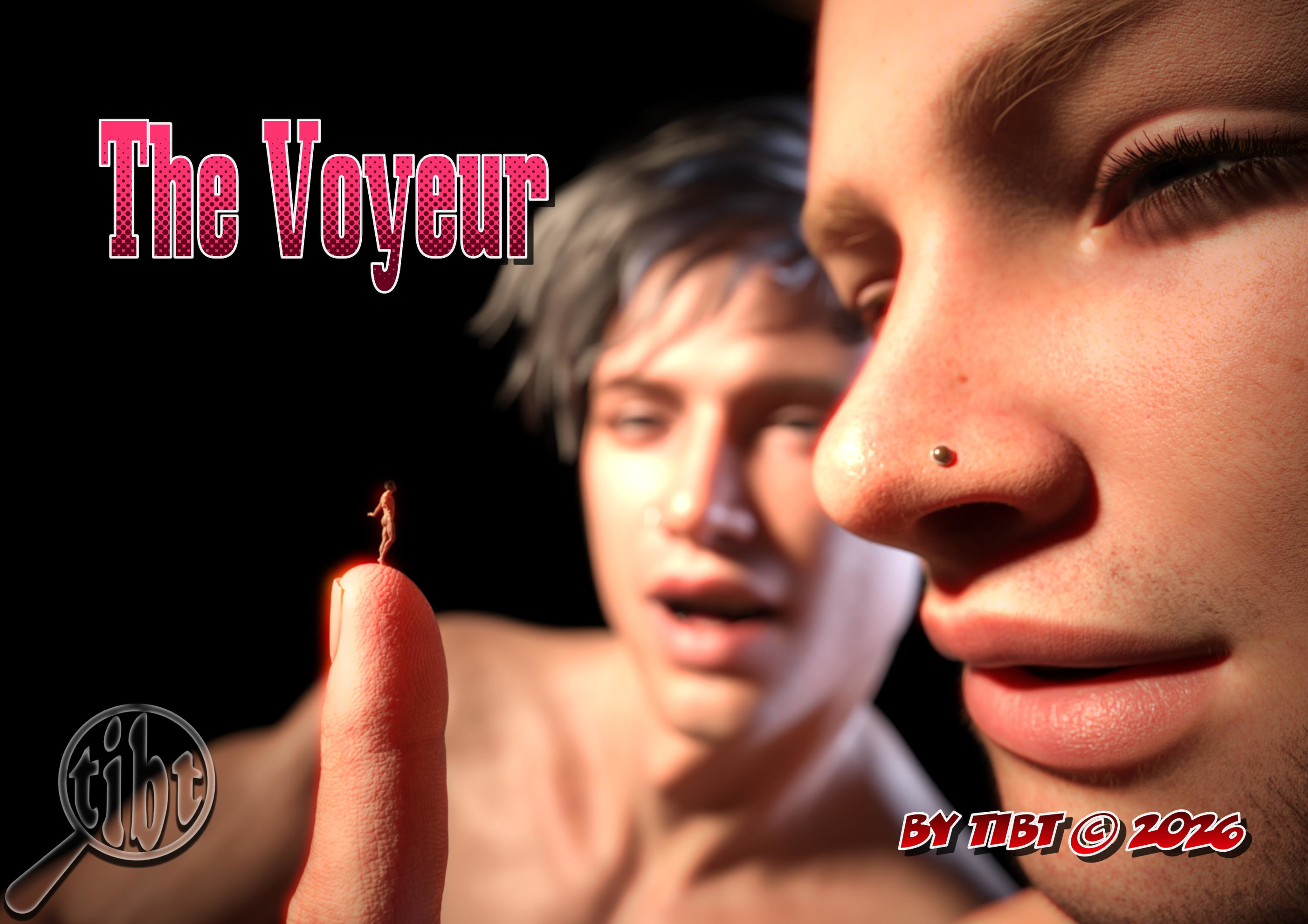 Cover image for The Voyeur