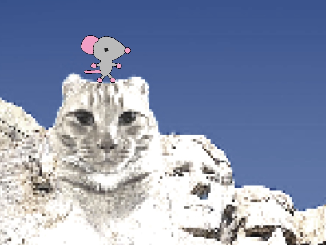 Cover image for Jjaemu’s Dream