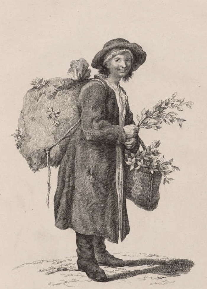 Cover image for The Itinerant Apothecary