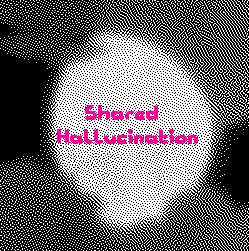 Cover image for Shared Hallucination