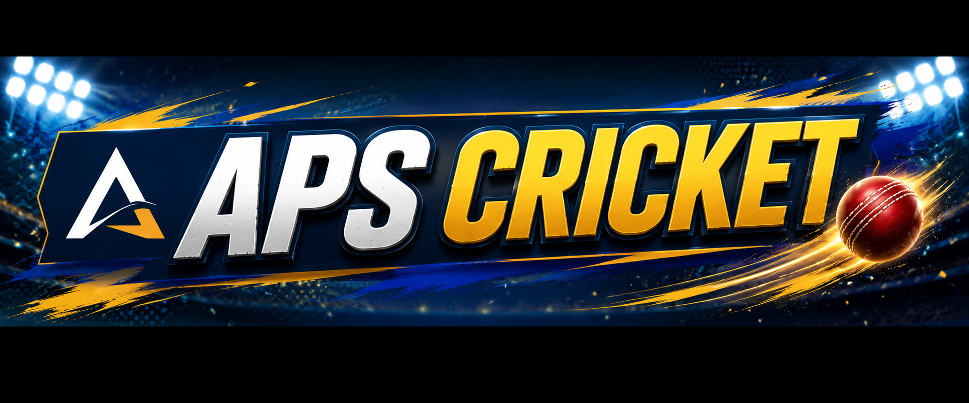 Aps cricket Multiplayer