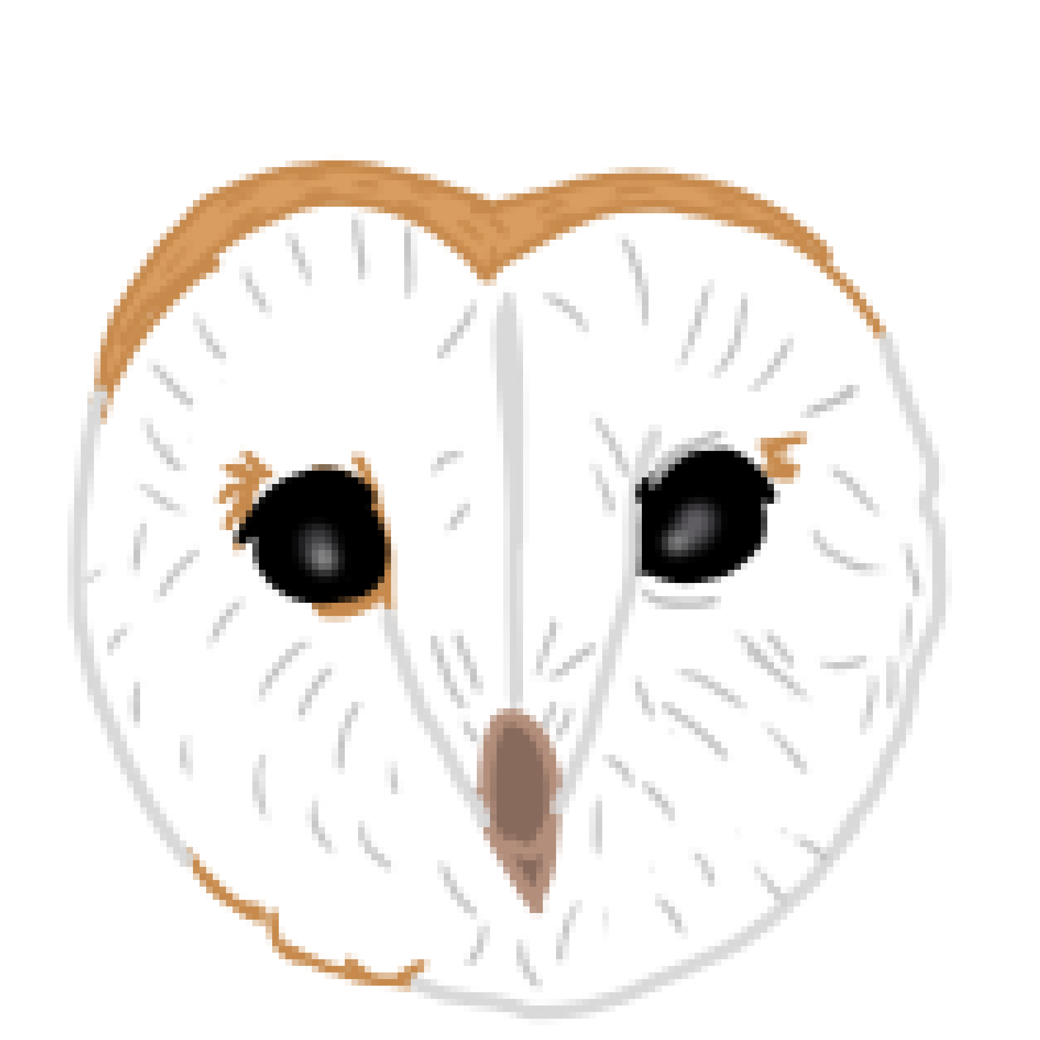 Owly Vorge cover