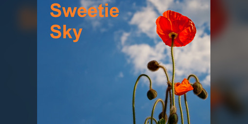 Cover image for Sweetie Sky
