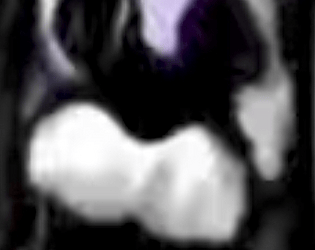 Fnaffree for mobile