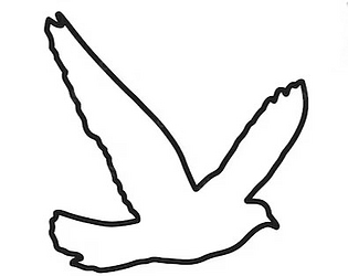 L'oiseau Né [Free] [Windows]