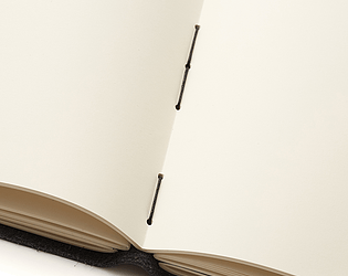Journal's Shadow