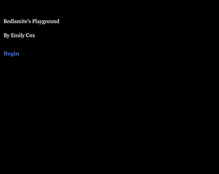 Bedlamite's Playground