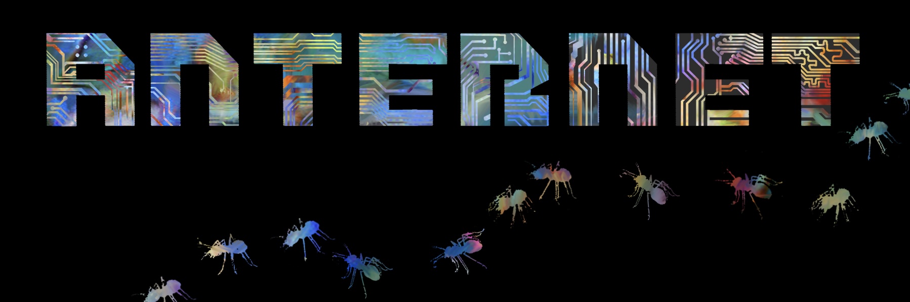 Anternet