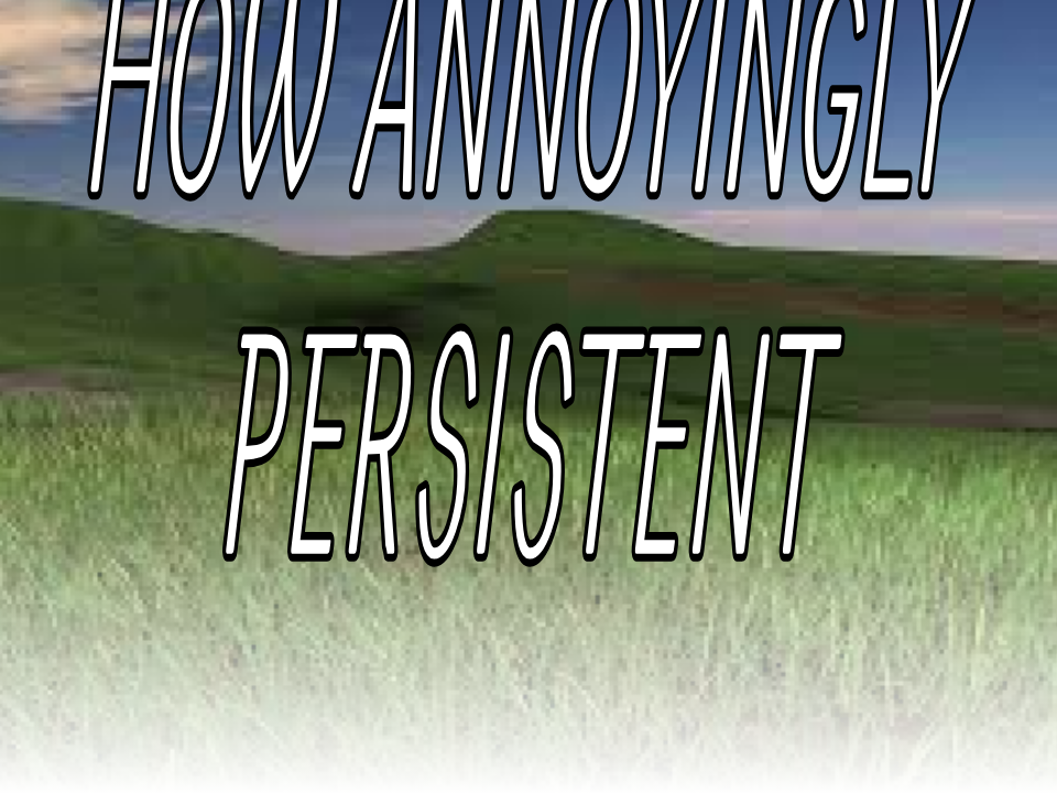 Cover image for how annoyingly persistent